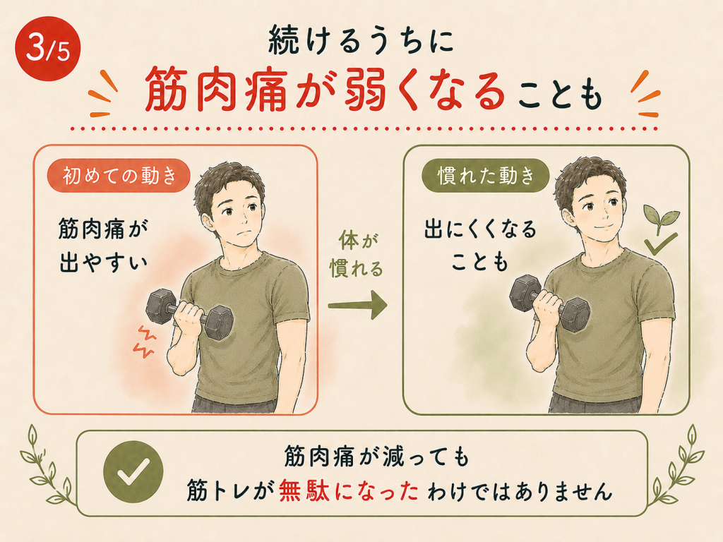 同じ筋トレを続けると体が慣れて筋肉痛が弱くなることを示すイラスト