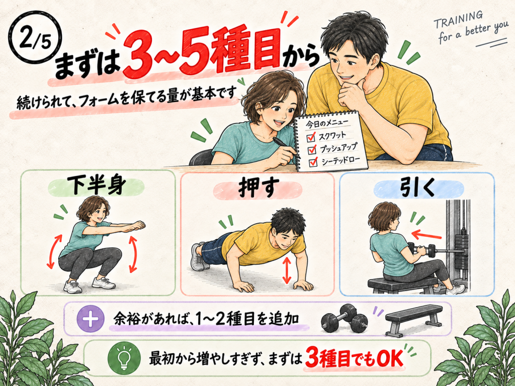 筋トレ初心者におすすめする下半身・押す・引くの3〜5種目
